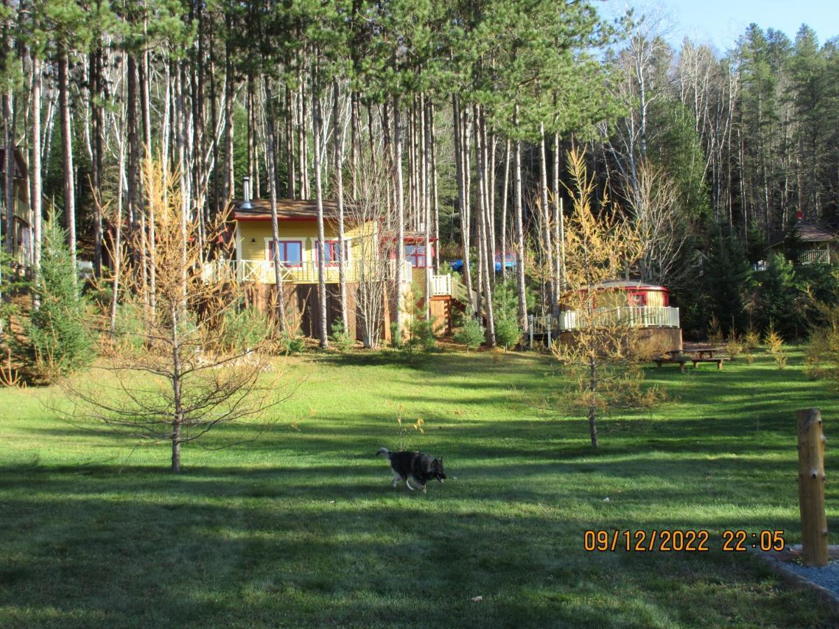 Saint Roch de Mekinac La Maison Sous Les Arbres מראה חיצוני תמונה