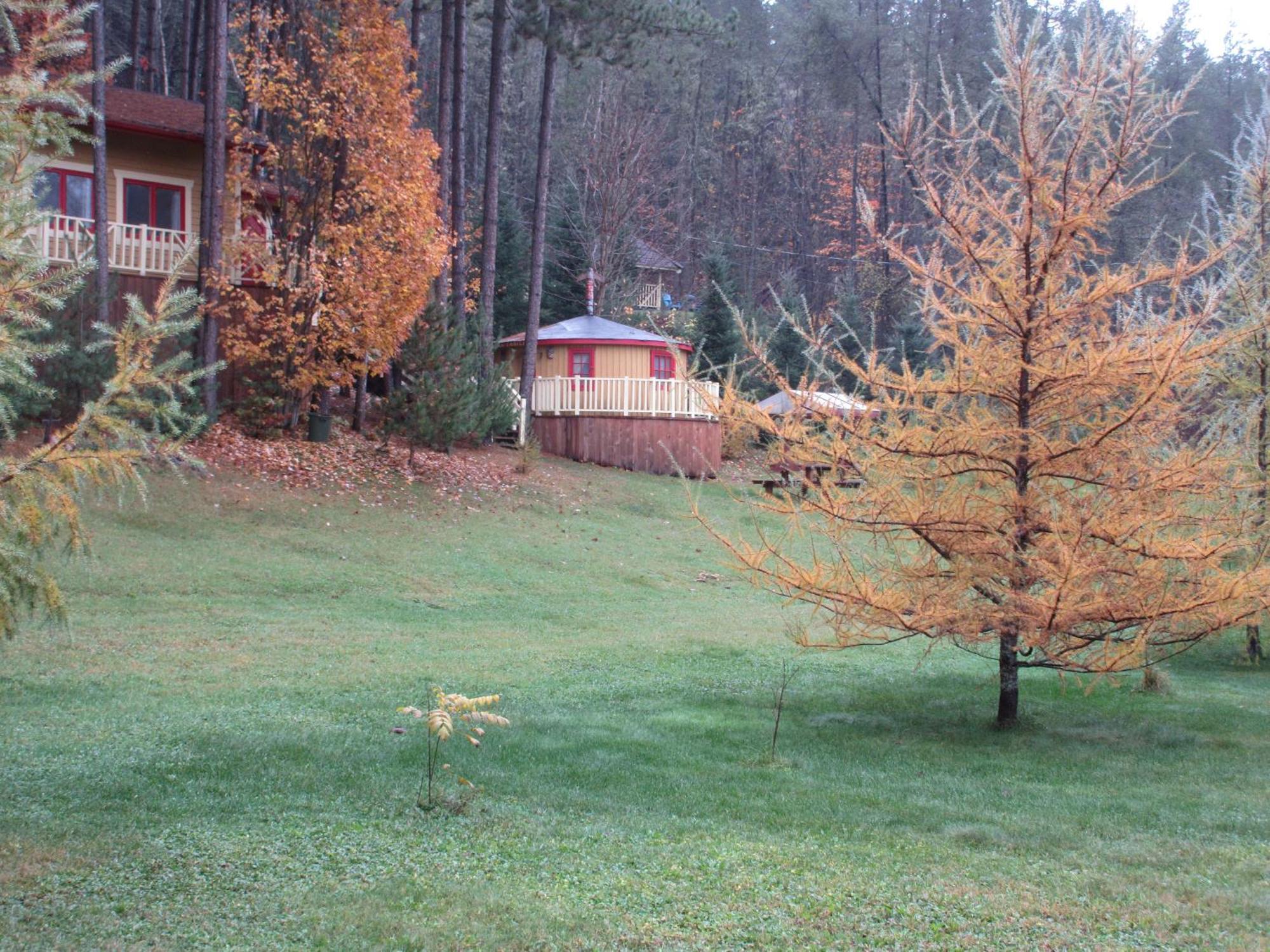 Saint Roch de Mekinac La Maison Sous Les Arbres מראה חיצוני תמונה
