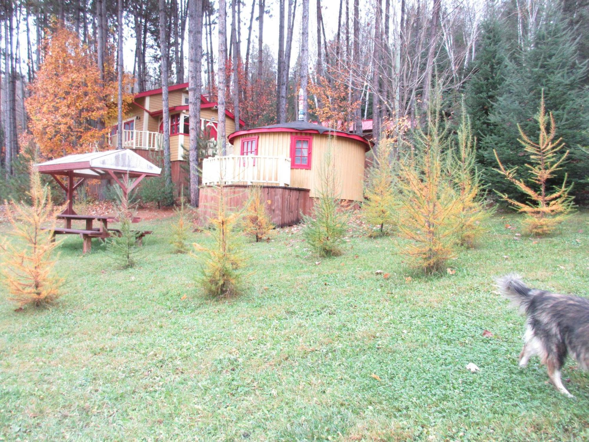 Saint Roch de Mekinac La Maison Sous Les Arbres מראה חיצוני תמונה