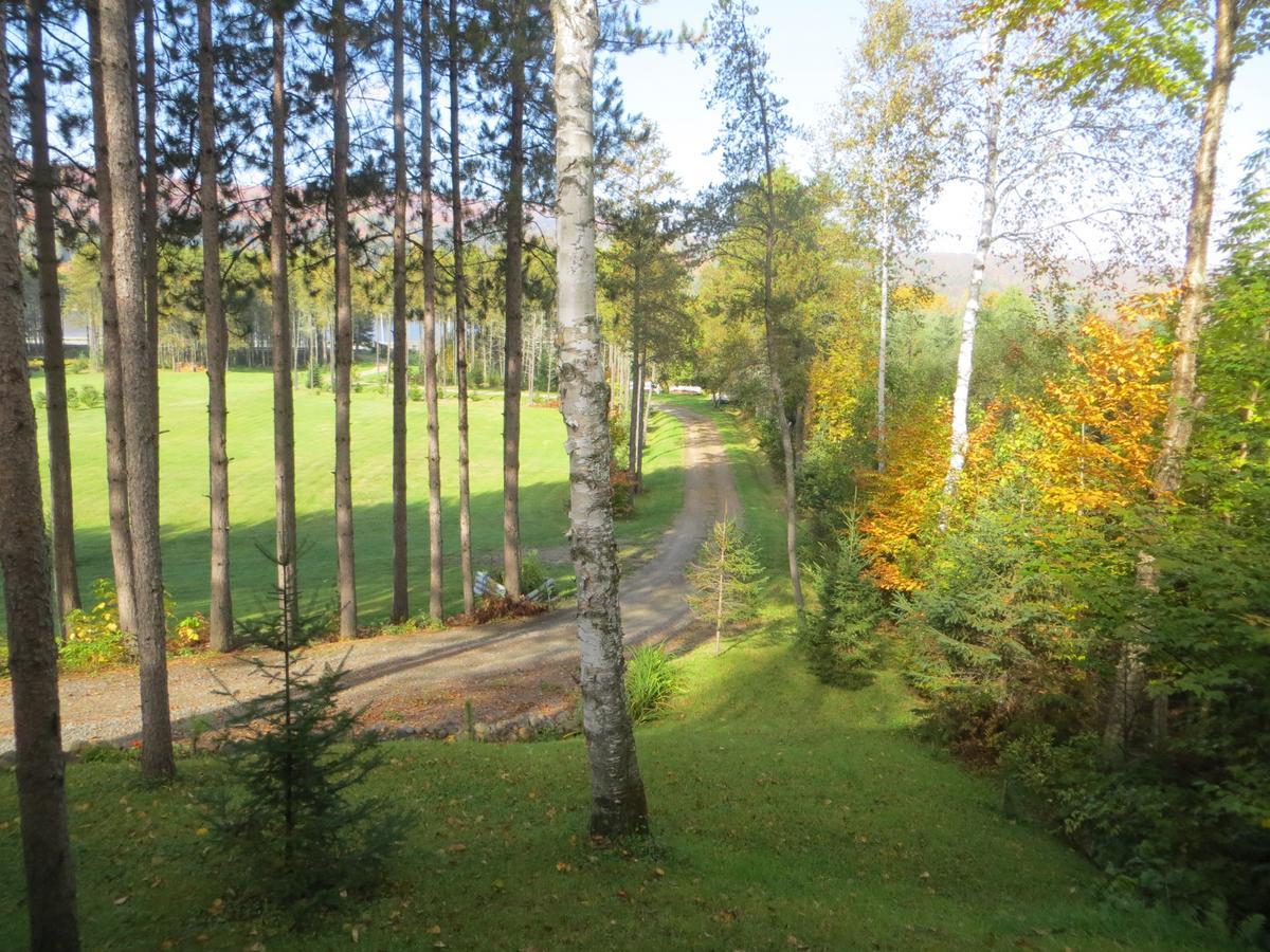 Saint Roch de Mekinac La Maison Sous Les Arbres מראה חיצוני תמונה