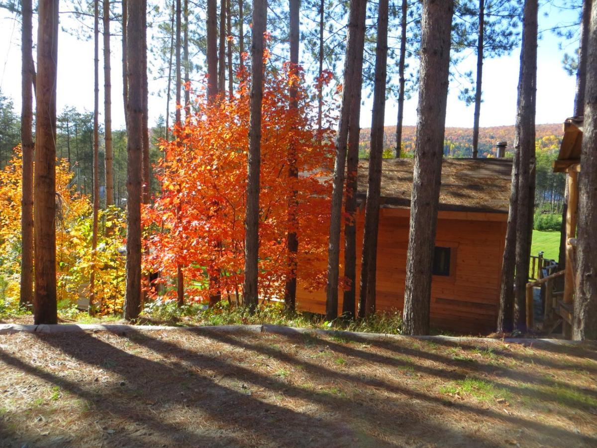Saint Roch de Mekinac La Maison Sous Les Arbres מראה חיצוני תמונה