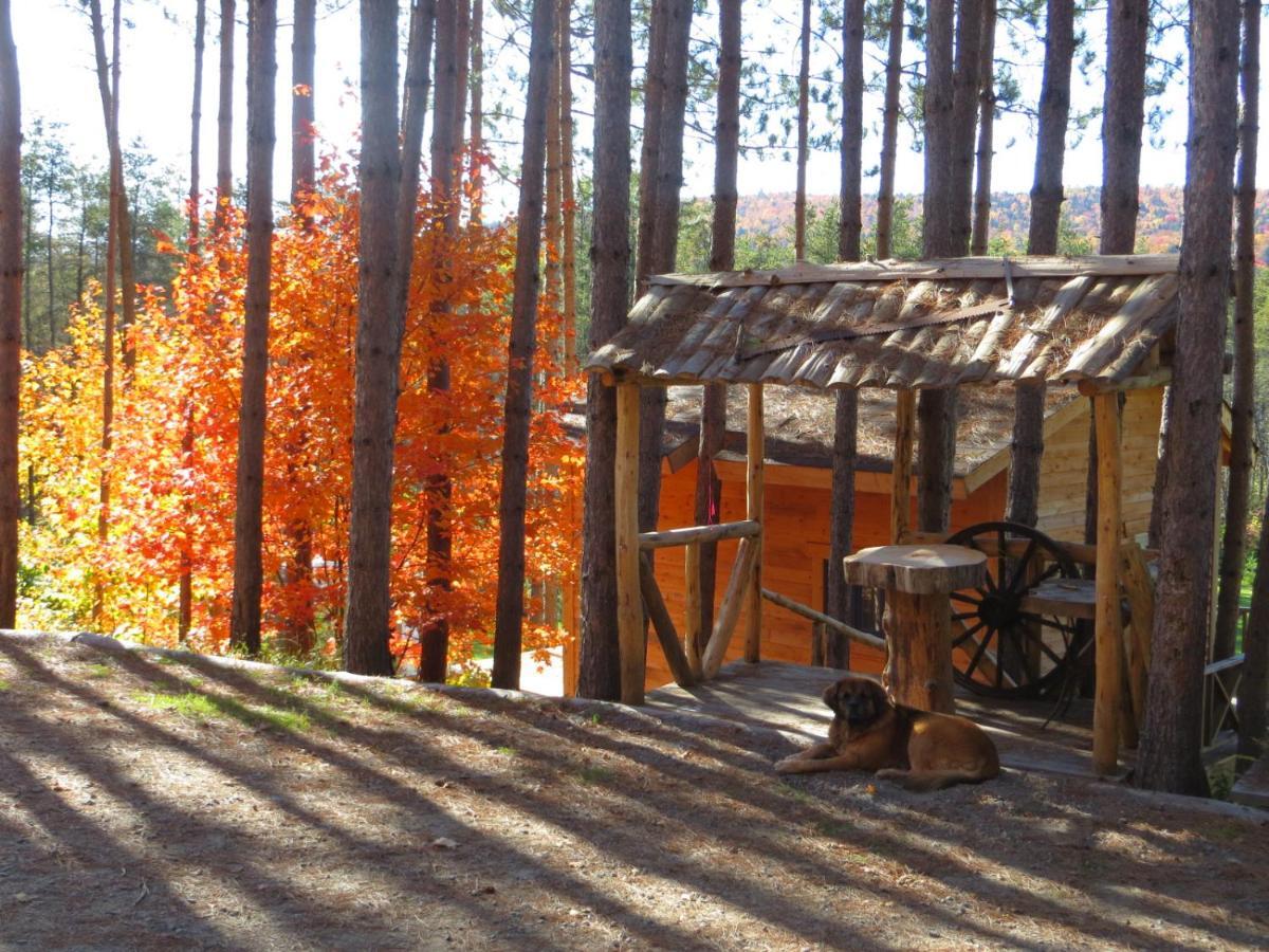 Saint Roch de Mekinac La Maison Sous Les Arbres מראה חיצוני תמונה